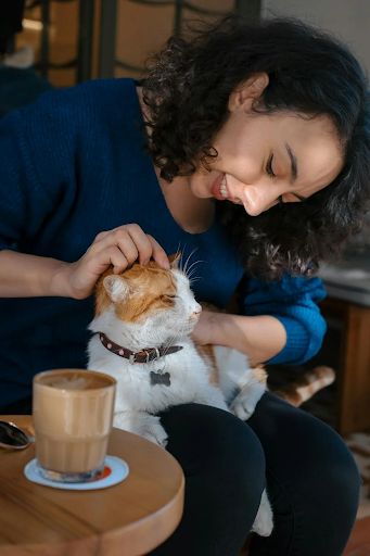 A woman in a blue sweater smiles warmly while petting a relaxed orange and white cat on her lap. A latte sits on a wooden table nearby.