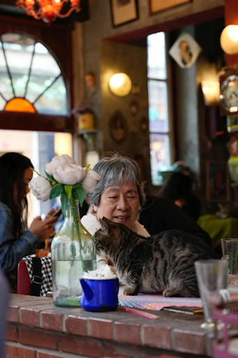 Elderly woman in a cozy café smiles affectionately at a tabby cat on a counter. Rustic decor, soft lighting, and a vase with white flowers add warmth.