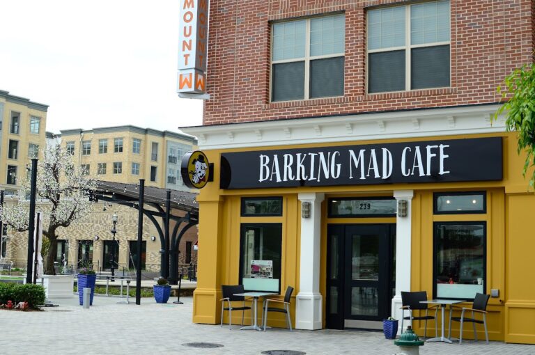 Barking Mad Cafe – London