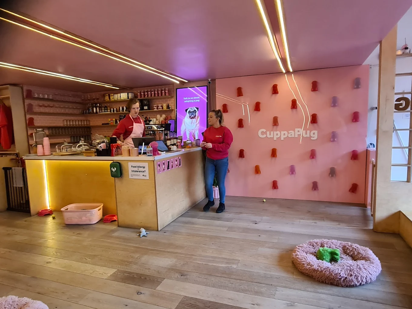 CuppaPug – Nursery Road, Hackney, London