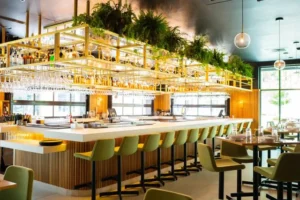 Blerina's Agritourism Concept