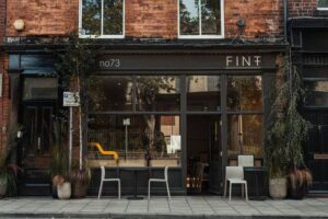 FINT (formerly Fettle)