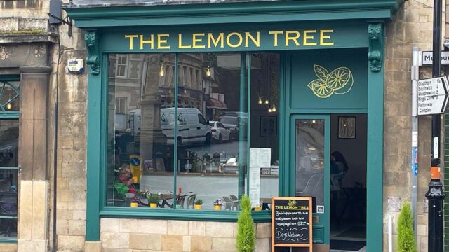 lemontree_05
