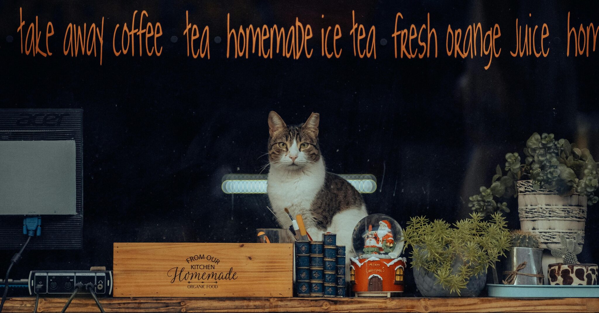 Best of the Cat Cafe London