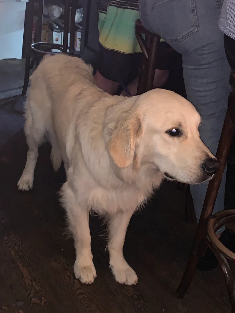 unnamed – 2025-08-28T134208.933