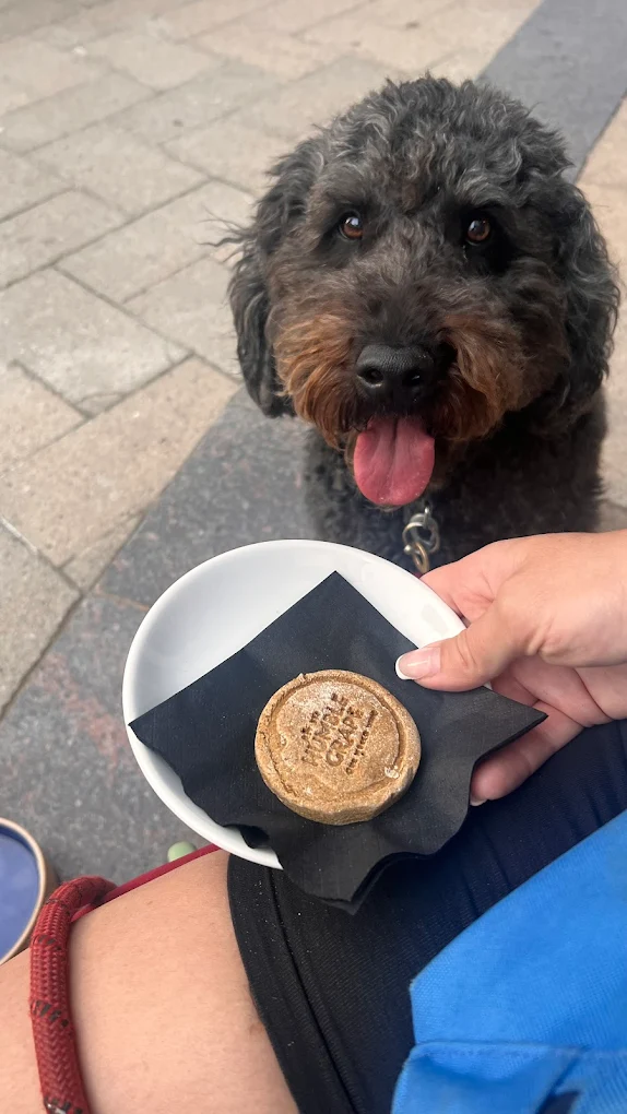 unnamed – 2025-08-28T161229.925