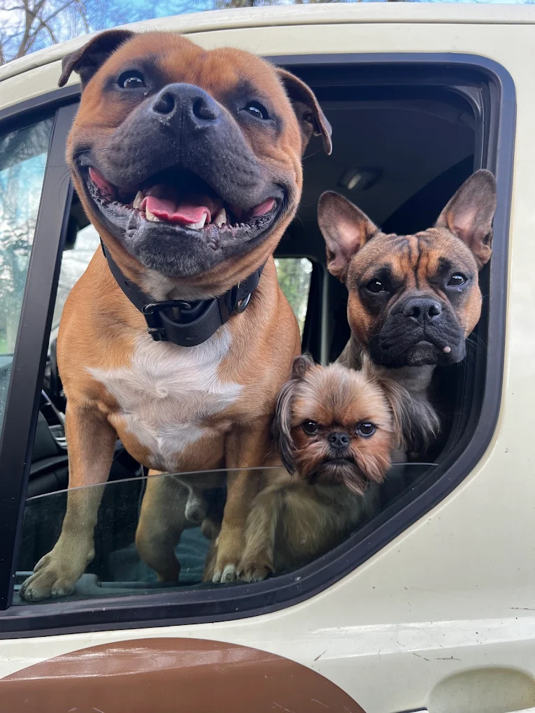 unnamed – 2025-09-05T155042.488