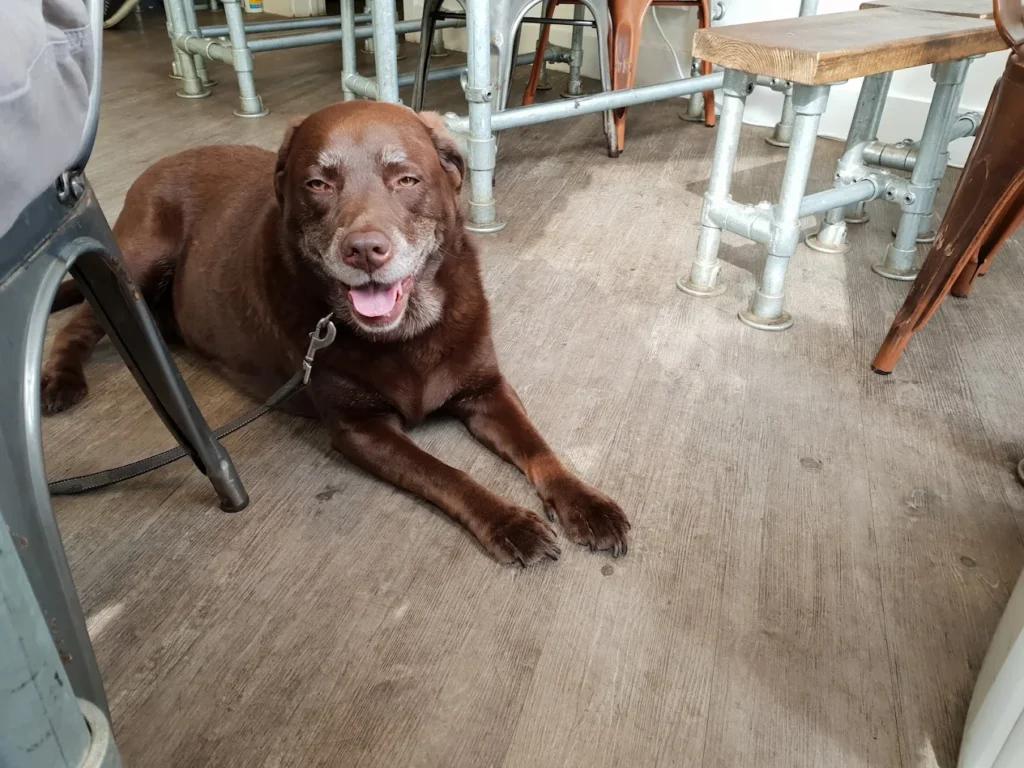 unnamed – 2025-09-05T155240.945