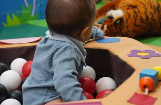 rainforest soft play