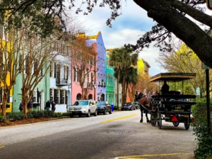 Best Coffee Shops in Charleston