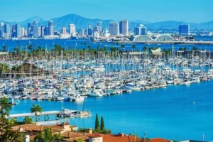 Best Coffee Shops in San Diego
